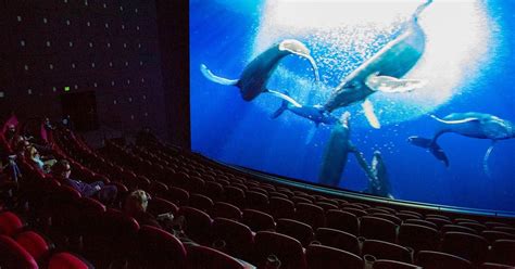 IMAX, 3D, 4DX and other movie formats: What’s the difference.